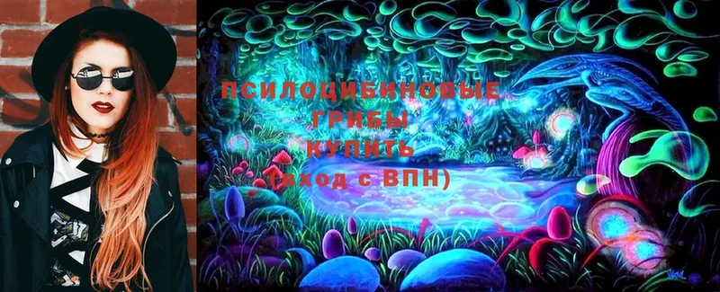 Псилоцибиновые грибы Magic Shrooms  наркотики  Муром 